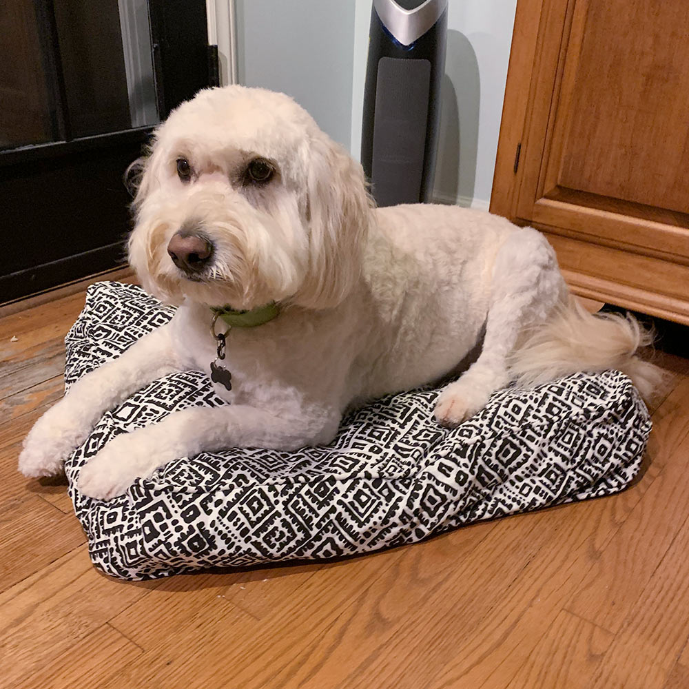 alma black and white pet bed cover
